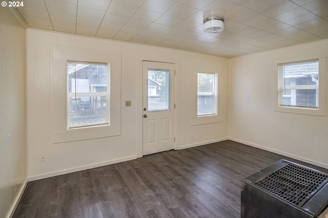 doorway to outside featuring dark hardwood / wood-style floors, crown molding, and a wealth of natural light