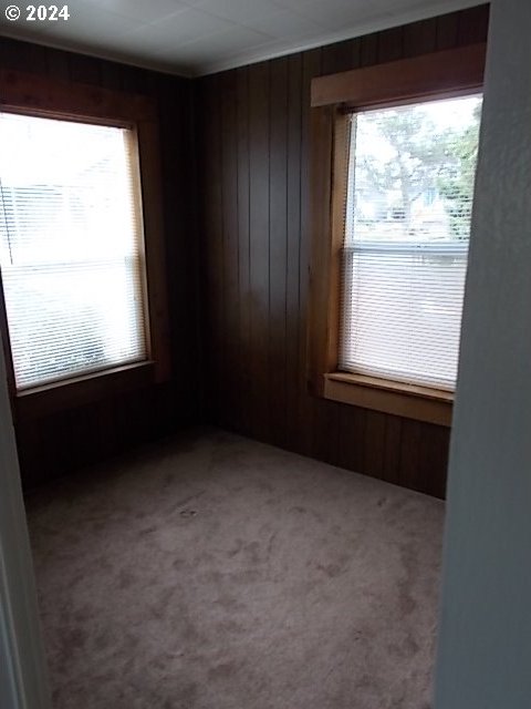 unfurnished room with carpet floors and wooden walls