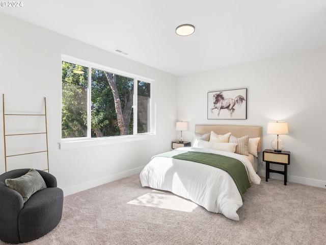 bedroom with carpet flooring