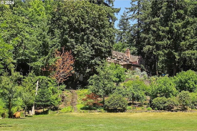 view of yard with stairs