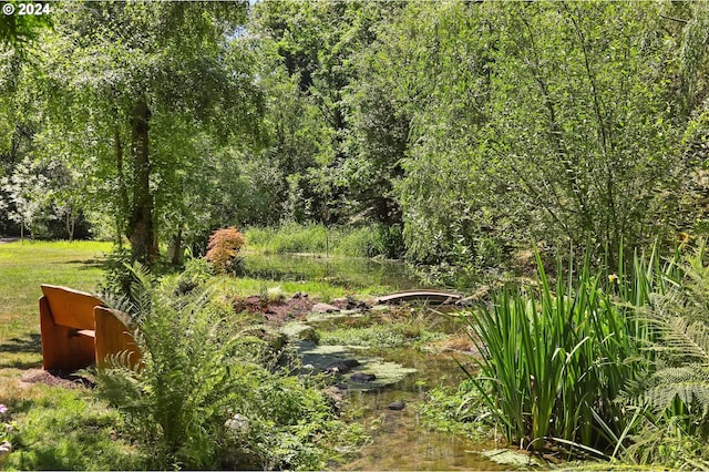 view of local wilderness