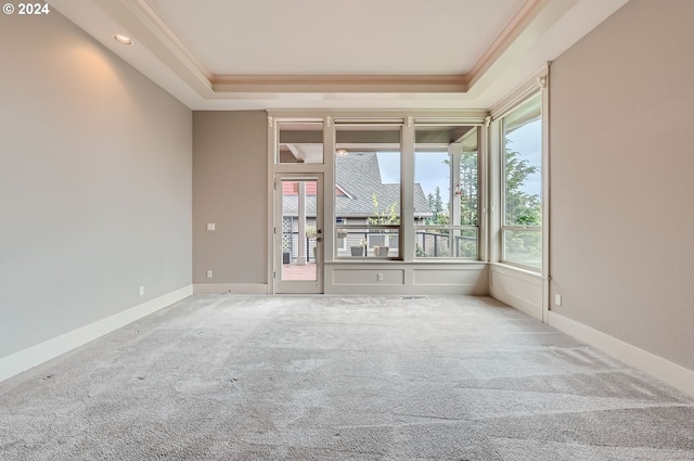 spare room with carpet flooring, a raised ceiling, and crown molding