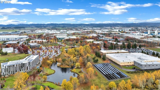 2067 NE 49th Way, Hillsboro, OR 97124 - aerial view of a water and mountain view