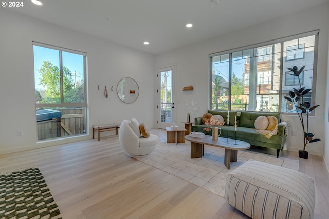 living room featuring a healthy amount of sunlight and light hardwood / wood-style flooring