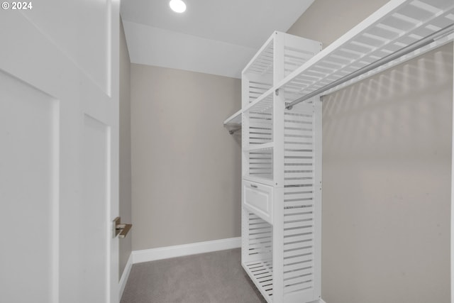 walk in closet featuring carpet