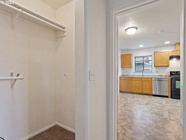 kitchen with sink, stainless steel appliances, and exhaust hood