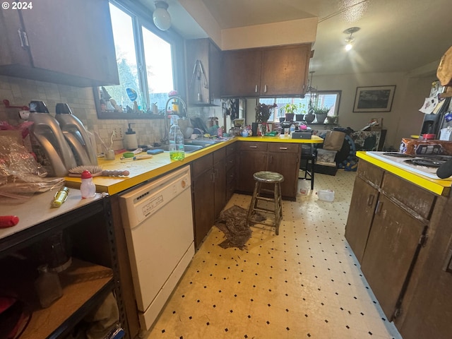 kitchen with white dishwasher, sink, tasteful backsplash, dark brown cabinets, and a breakfast bar area