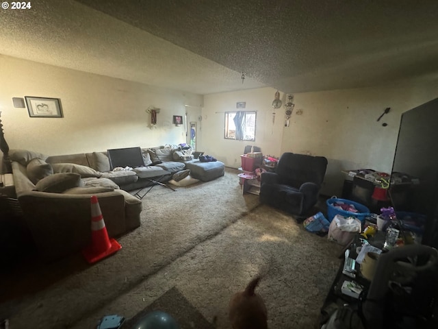 living room featuring carpet and a textured ceiling