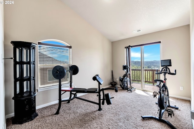 exercise area with vaulted ceiling, a textured ceiling, and carpet flooring