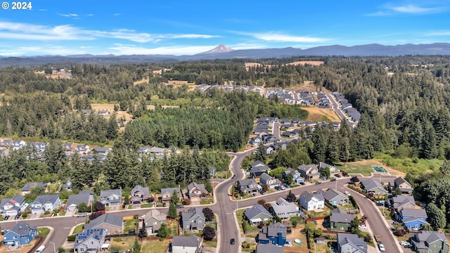 birds eye view of property featuring a mountain view