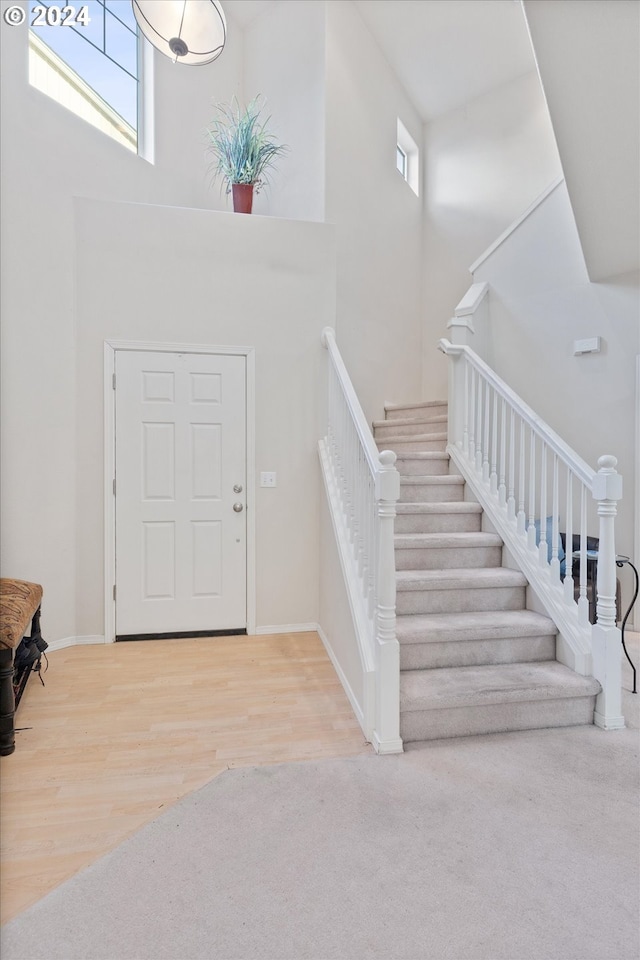 entrance foyer with a healthy amount of sunlight, a high ceiling, and wood-type flooring