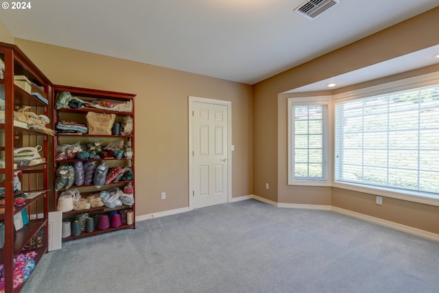 miscellaneous room featuring light carpet