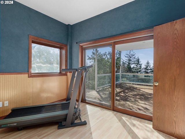 workout area featuring light hardwood / wood-style floors