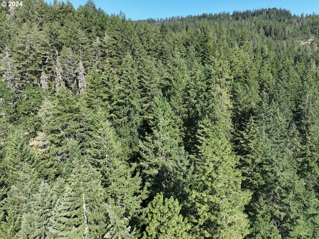 aerial view with a forest view