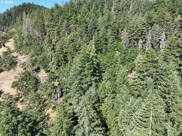 aerial view featuring a forest view