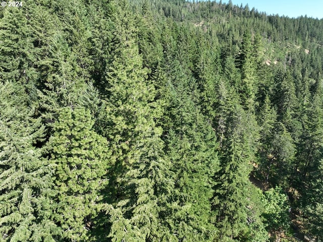 aerial view with a wooded view