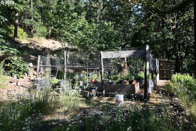 view of yard with a garden