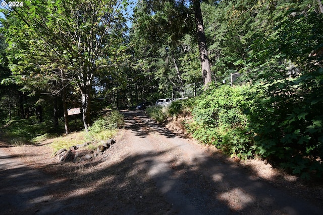 view of street with a view of trees