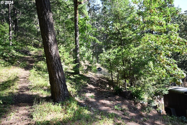 view of local wilderness with a view of trees