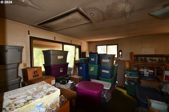 storage featuring attic access