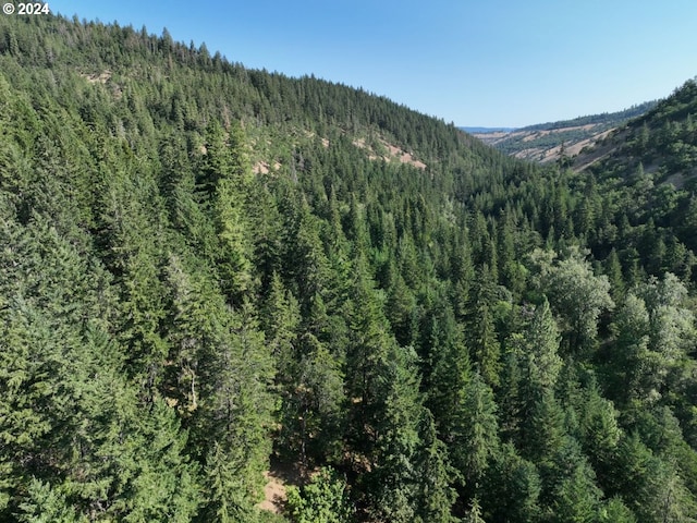 property view of mountains featuring a wooded view