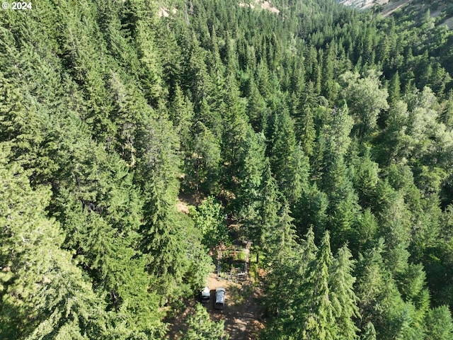 birds eye view of property featuring a forest view