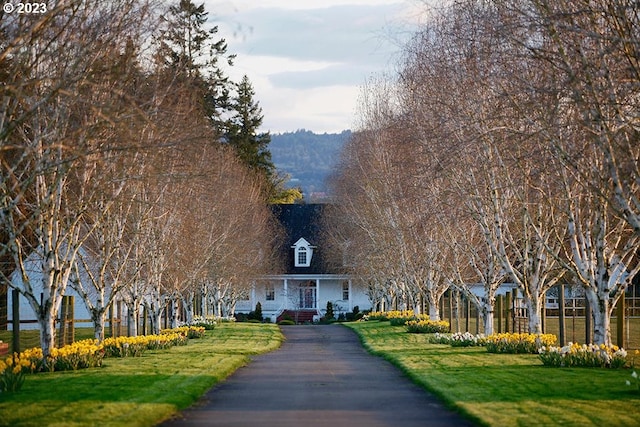 new england style home with a front yard