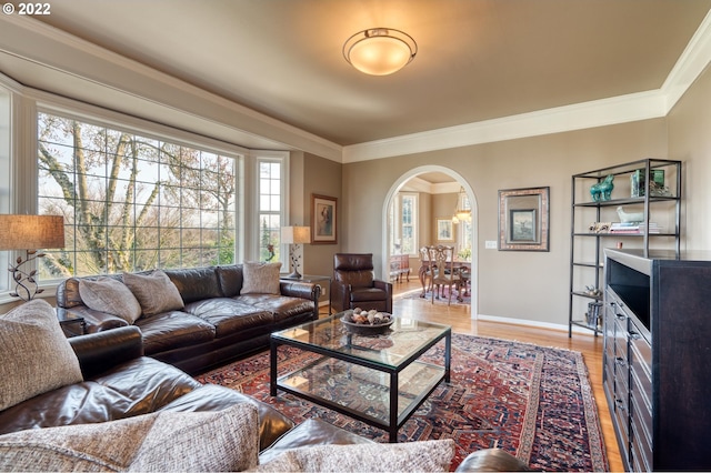 living room with light hardwood / wood-style floors, crown molding, and a wealth of natural light