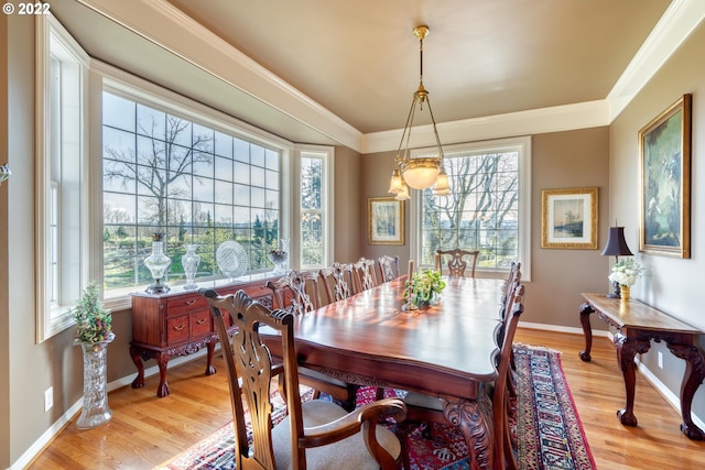 dining area with a wealth of natural light, ornamental molding, and light hardwood / wood-style floors