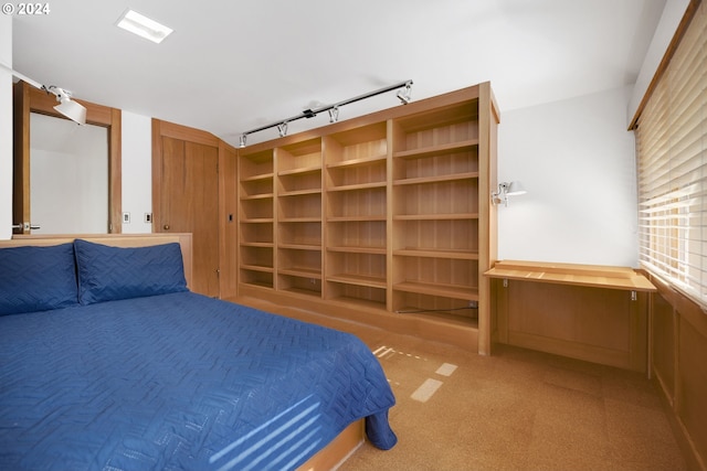 unfurnished bedroom with light colored carpet and rail lighting