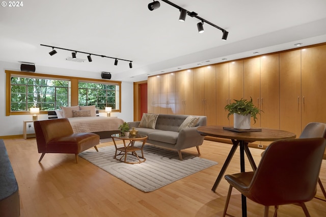 living room featuring light hardwood / wood-style floors and rail lighting