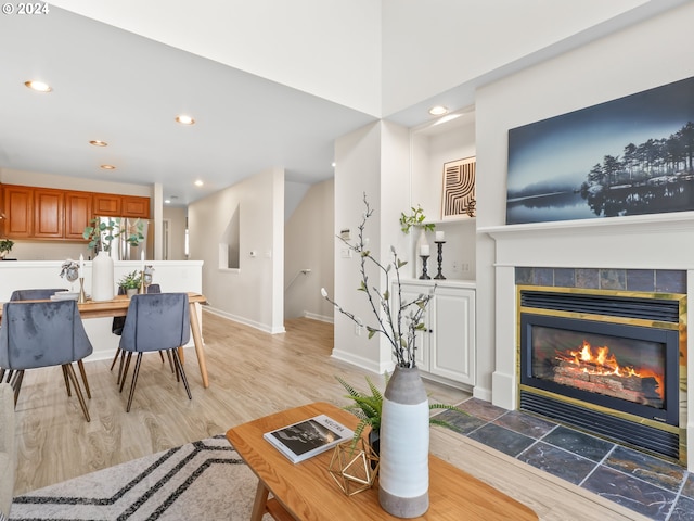 living room featuring a fireplace and wood-type flooring