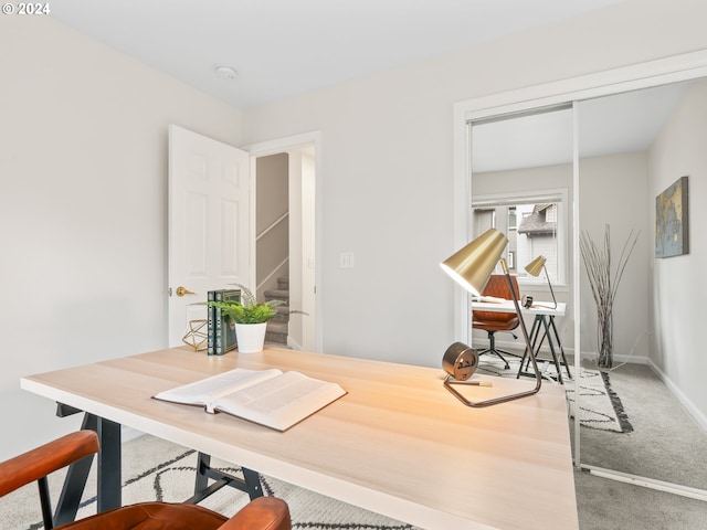 office area featuring carpet flooring