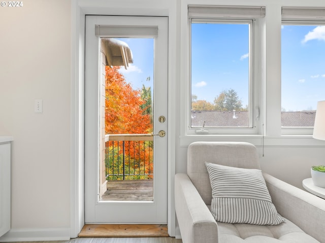 entryway with a healthy amount of sunlight