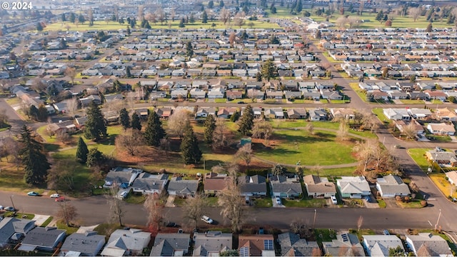 bird's eye view