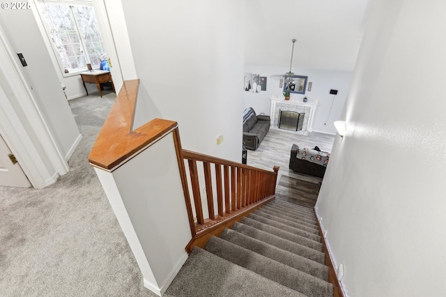 staircase featuring a fireplace and carpet floors