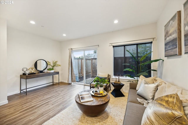 living room featuring light hardwood / wood-style flooring