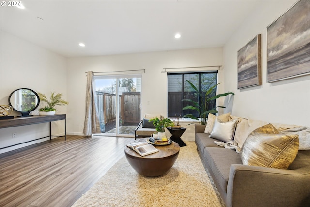 living room featuring wood-type flooring