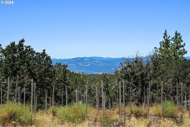 2455 Badger View Dr, The Dalles, OR 97058