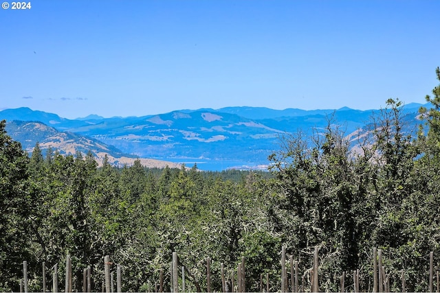 2455 Badger View Dr, The Dalles, OR 97058