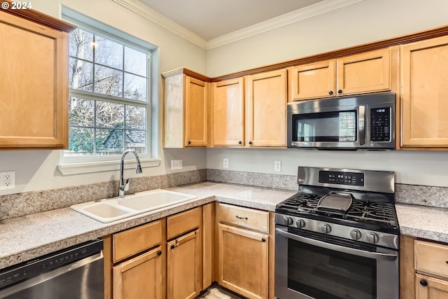 kitchen with sink, ornamental molding, and stainless steel appliances