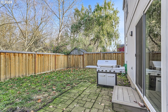 view of yard featuring a patio area