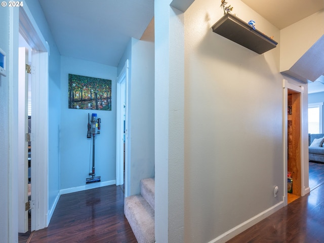 hall featuring dark wood-type flooring