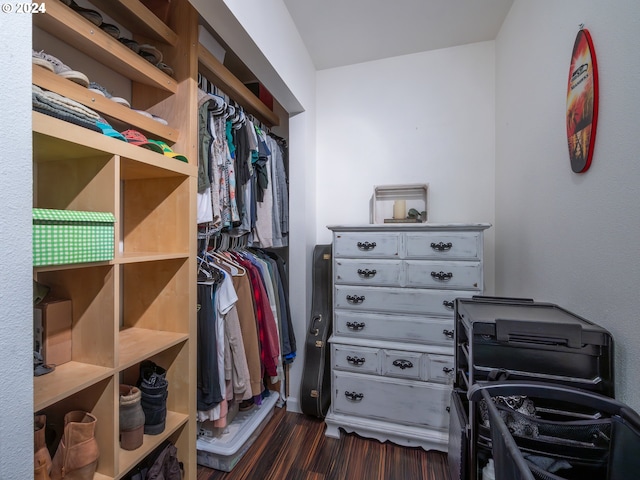 spacious closet featuring dark wood-type flooring