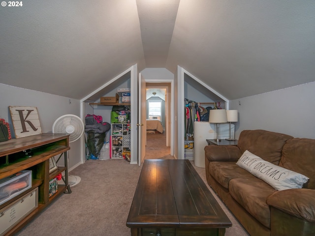 interior space featuring vaulted ceiling