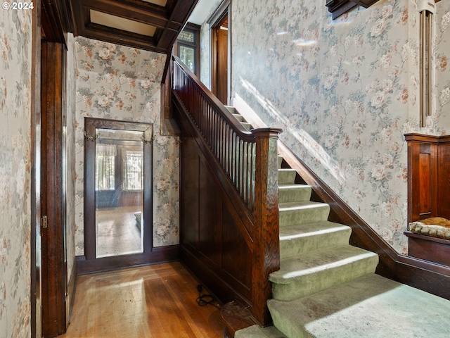 stairway with coffered ceiling, hardwood / wood-style flooring, and beam ceiling