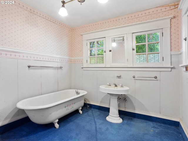 bathroom with a bathing tub and plenty of natural light