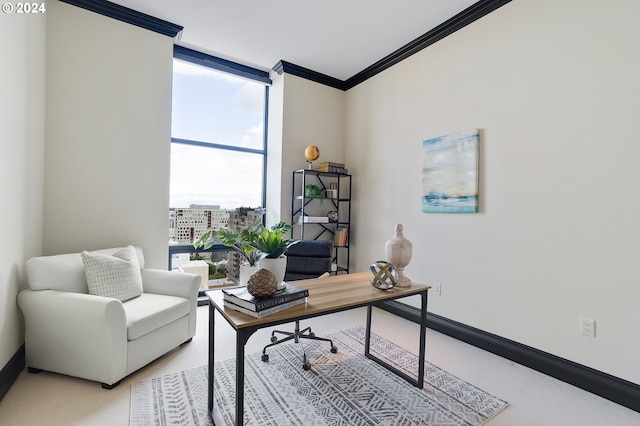 office area featuring ornamental molding