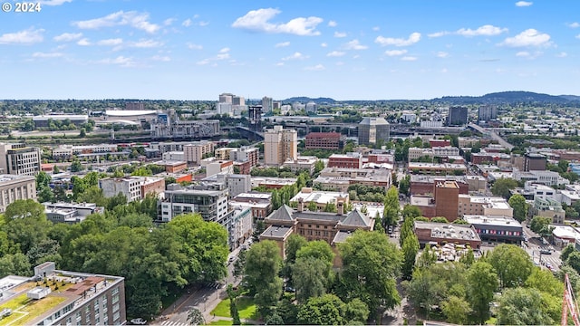 aerial view featuring a mountain view