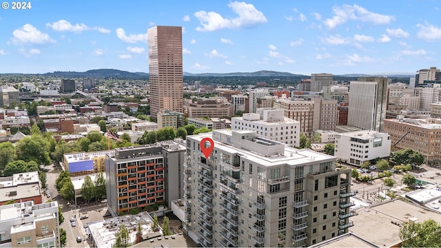 city view with a mountain view